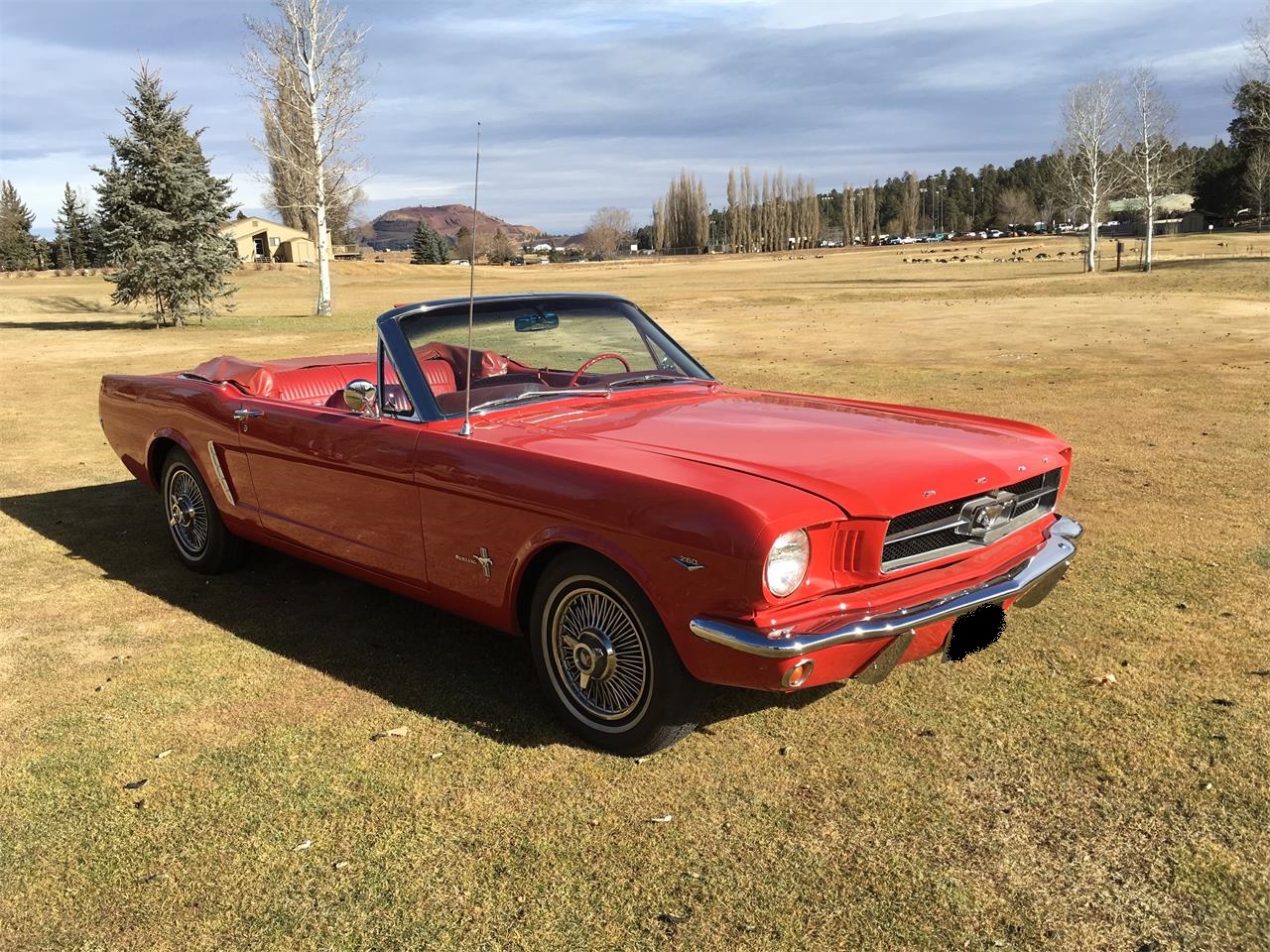 1964 ford mustang