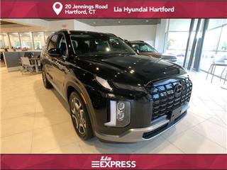 2025 Hyundai Palisade sel premium