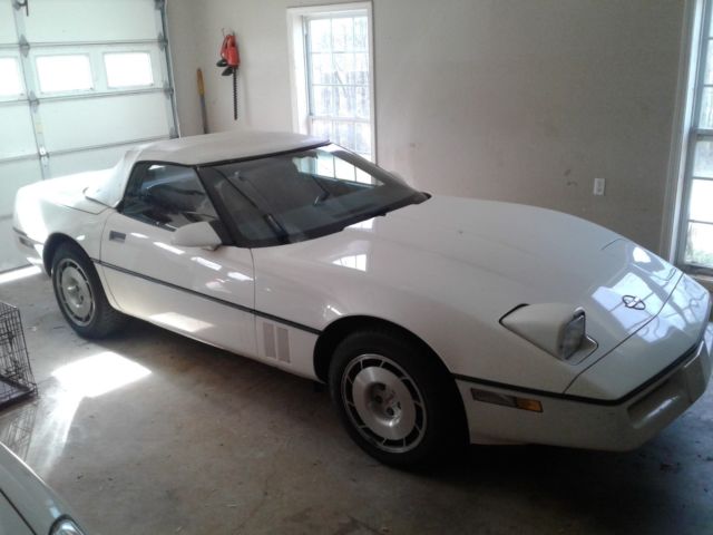 daytona 500 pace car