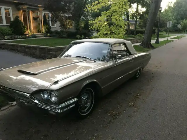 classic beautiful t-bird cruiser