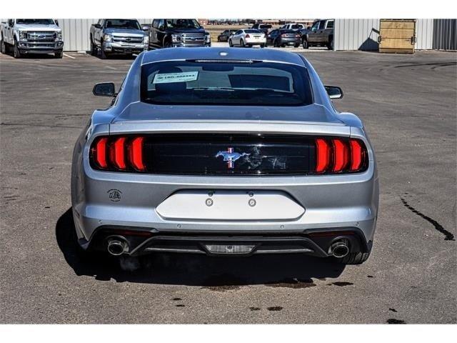 new 2019 ford mustang premium clovis, nm 88101 for sale in cannon air force base, new mexico