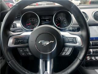 2023 Ford Mustang gt