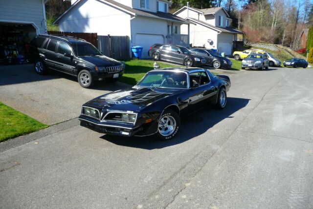 1977 pontiac trans am - blk/blk/platinum - t-tops - loaded