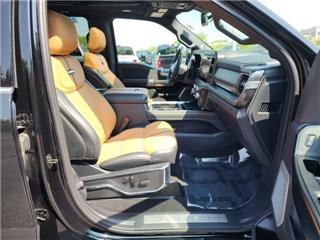 2023 Ford F-250 platinum