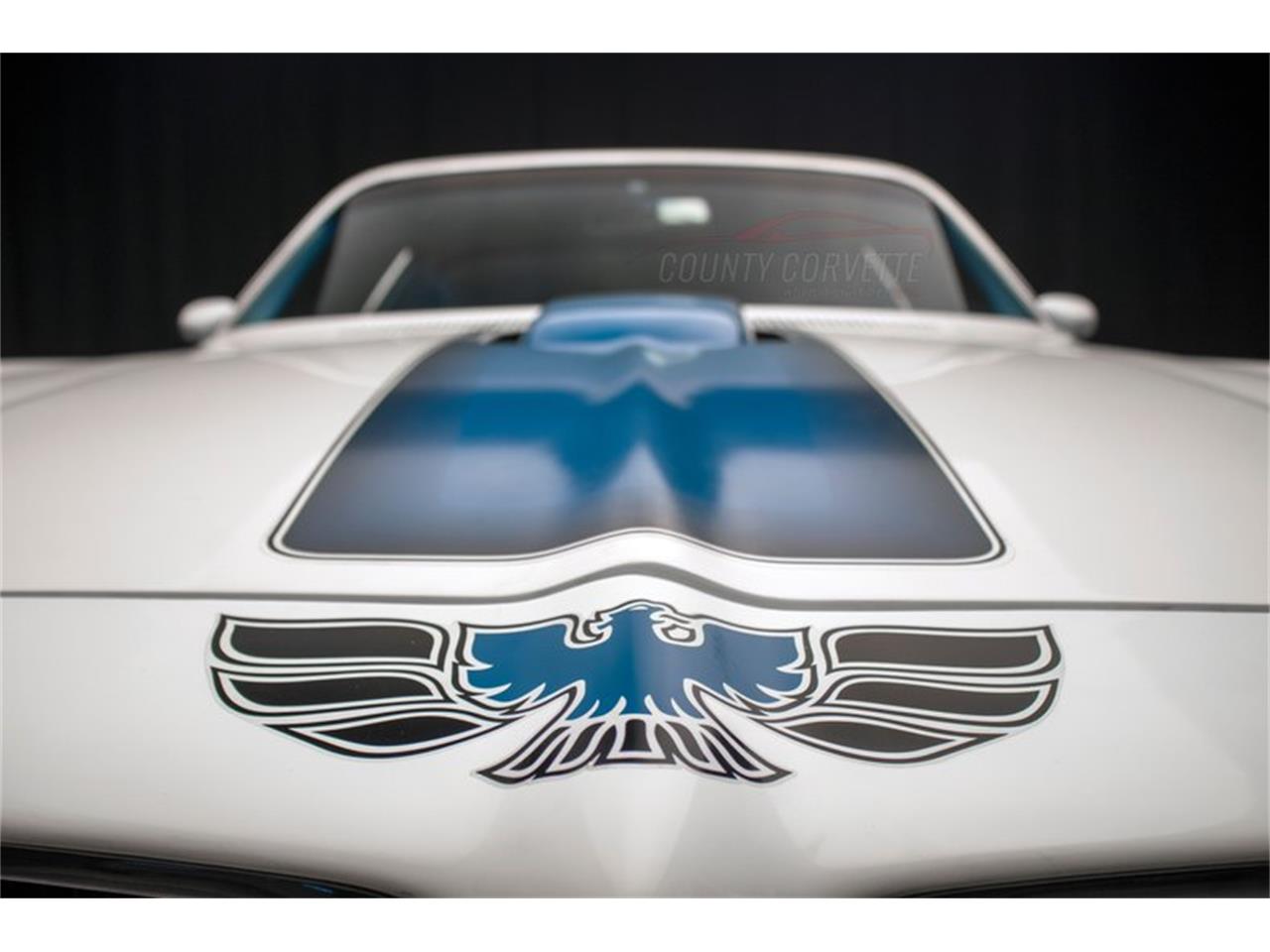1970 pontiac firebird trans am