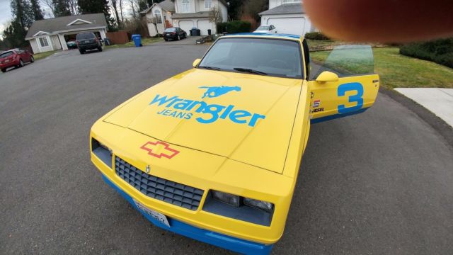painted to look like dale ernhardt's 1986 monte carlo racecar ,runs great !