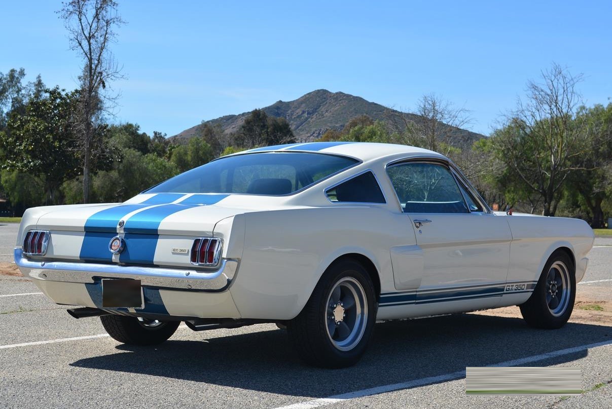 1966 shelby gt350