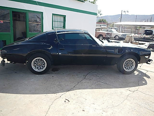 1979 pontiac trans am y84 se black/tan solid car t-tops phs paperwork 1978 1977