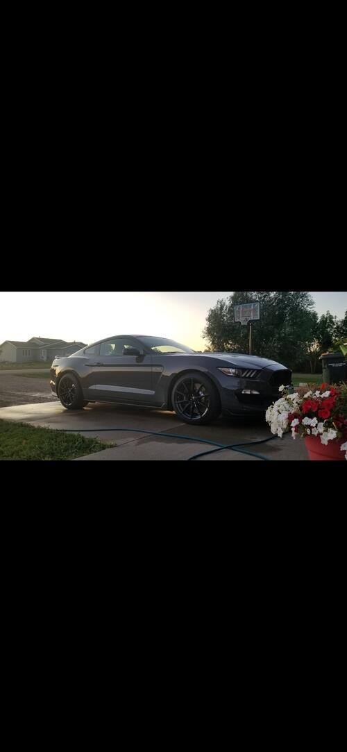 2018 ford mustang shelby gt350 lead foot grey