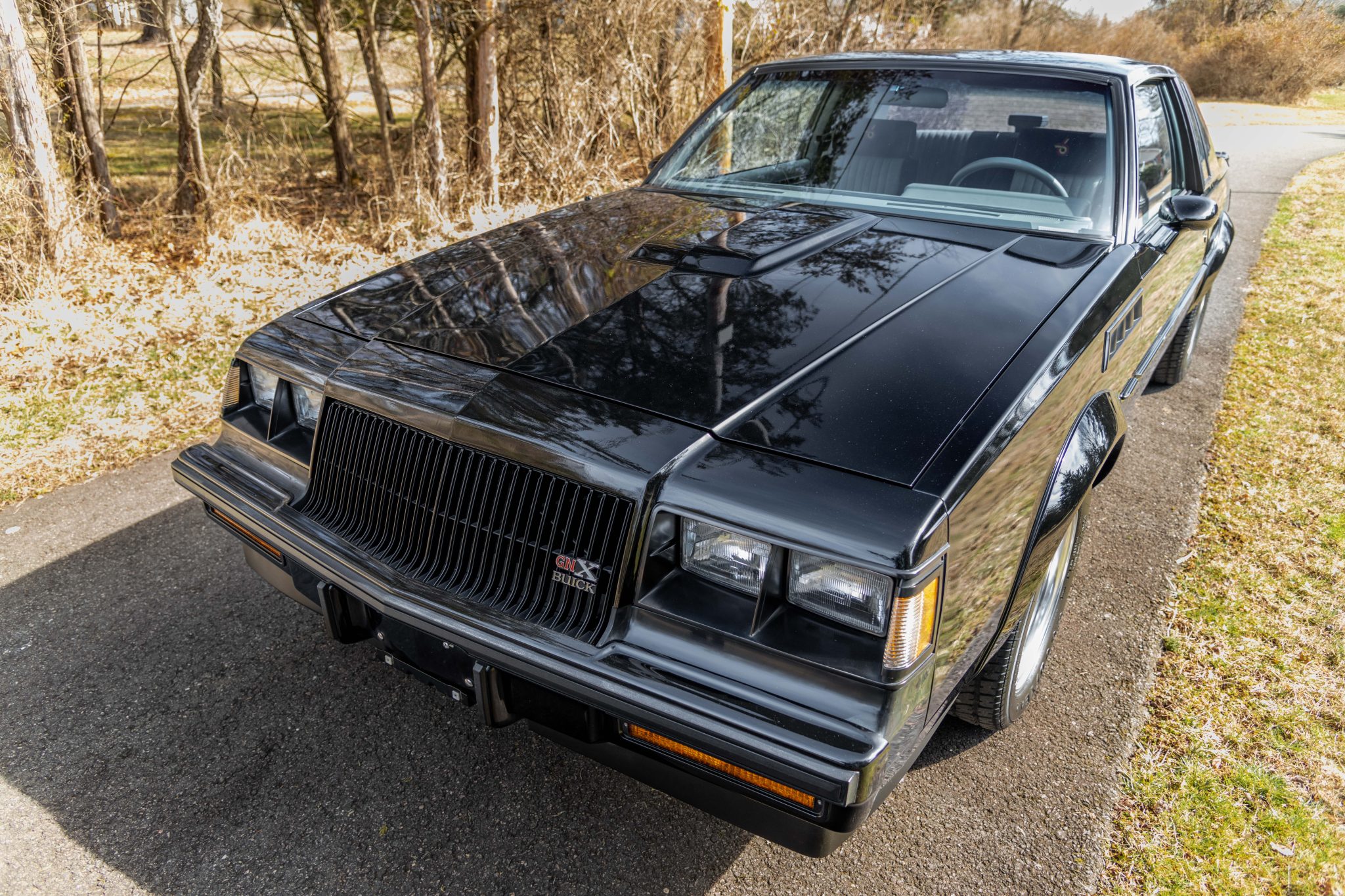 1987 buick gnx
