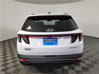 2024 Hyundai Tucson sel convenience