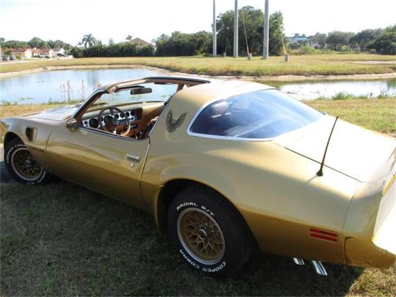 1979 pontiac firebird trans am