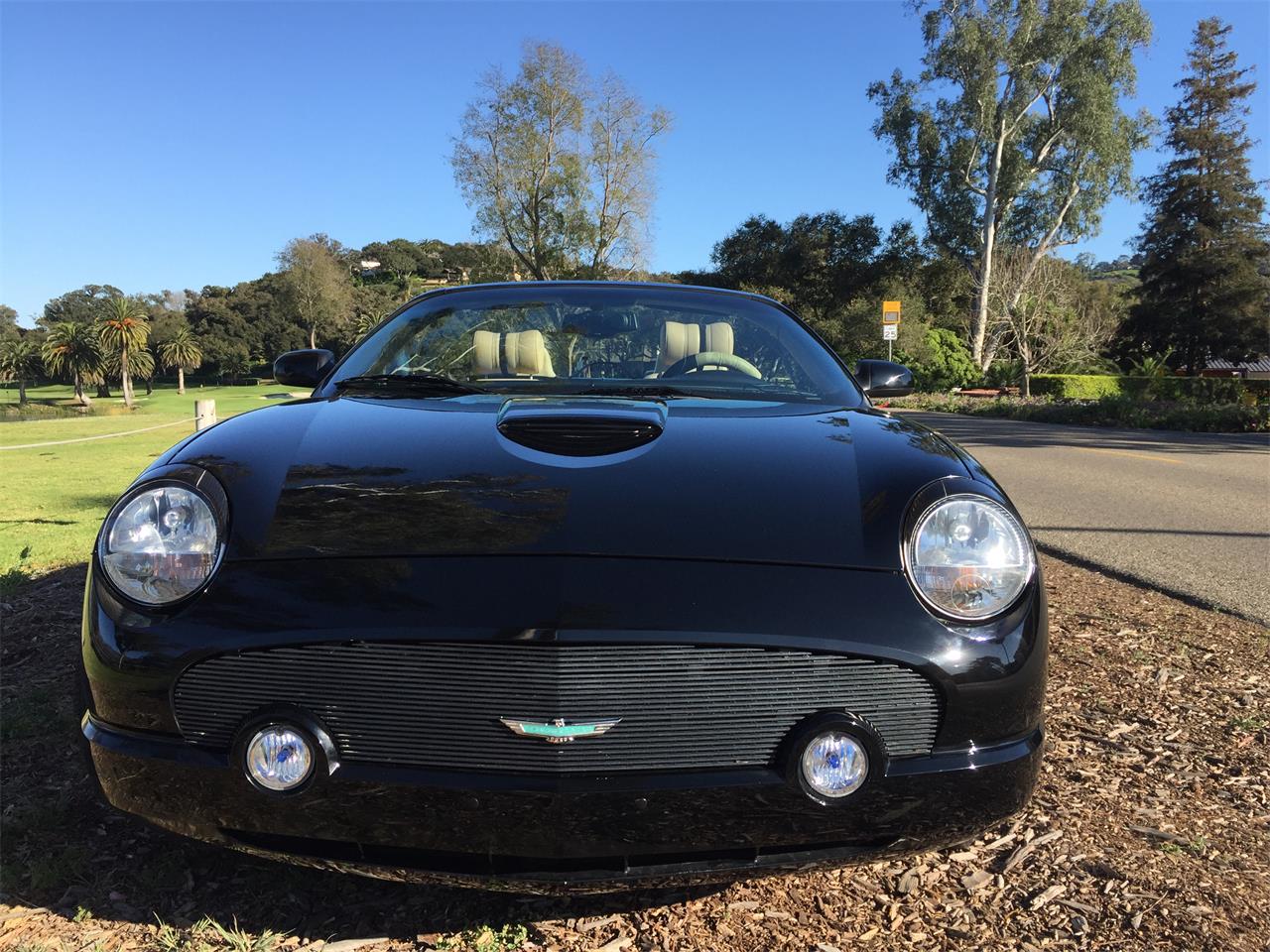 2005 ford thunderbird
