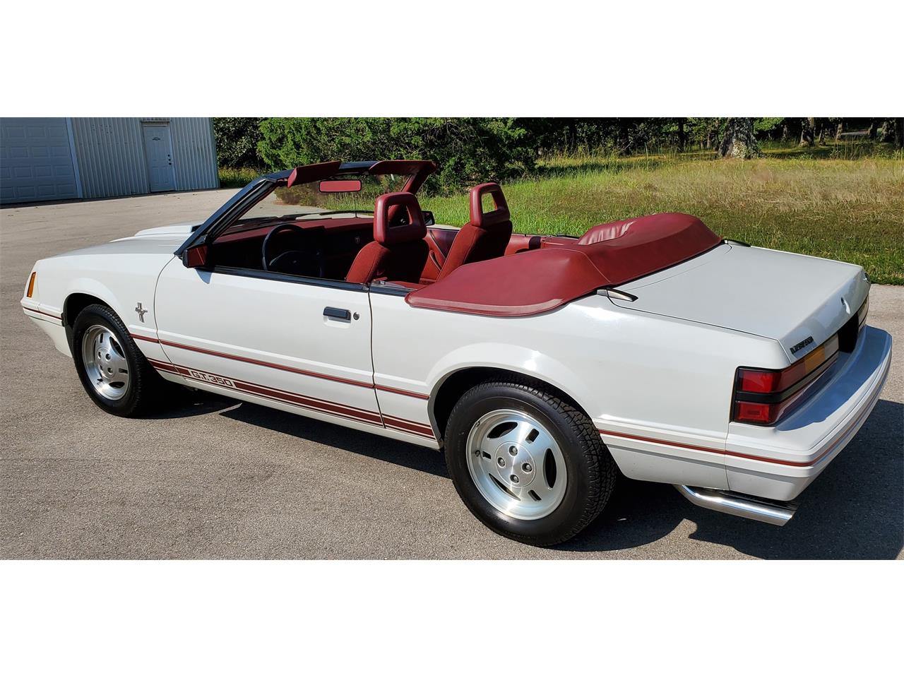 1984 ford mustang gt350
