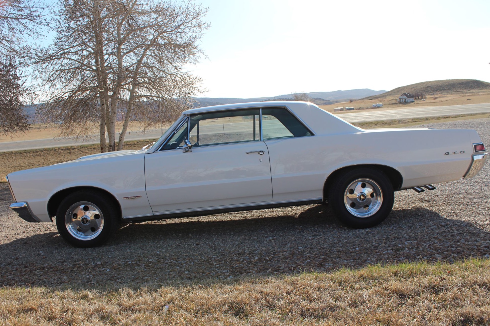 1965 pontiac gto