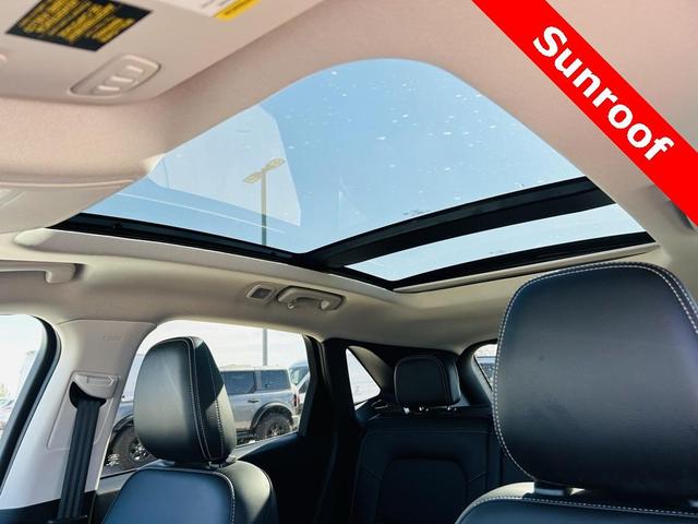 2022 ford escape titanium hybrid