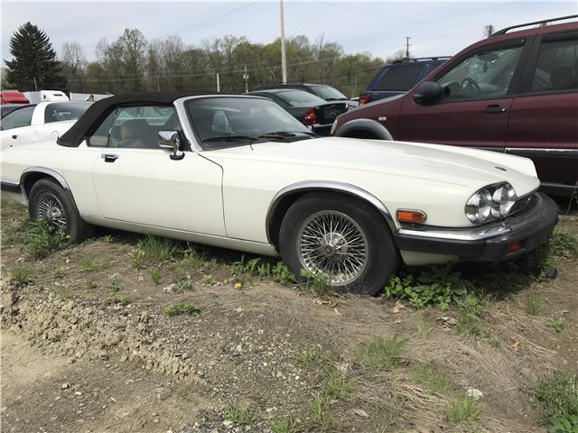 1989 jaguar xjs convertible 12 cylinder