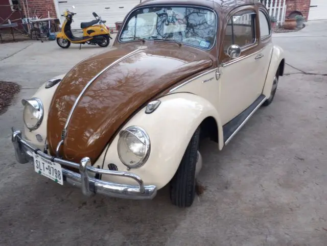 1961vw beetle nice old vw hard to find in this good of a condition