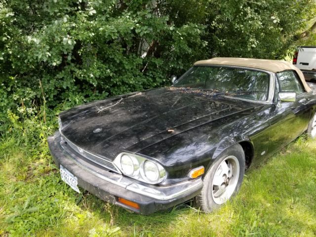 jaguar xjs convertible v12 black 1987 hess & eisenhardt for reatoration