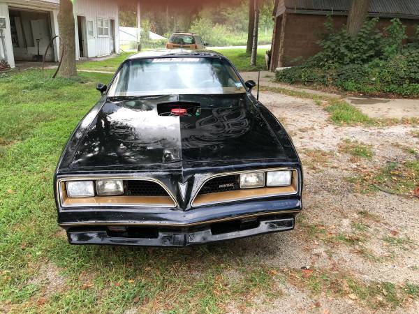 1980 trans am with 1978 hood and nose