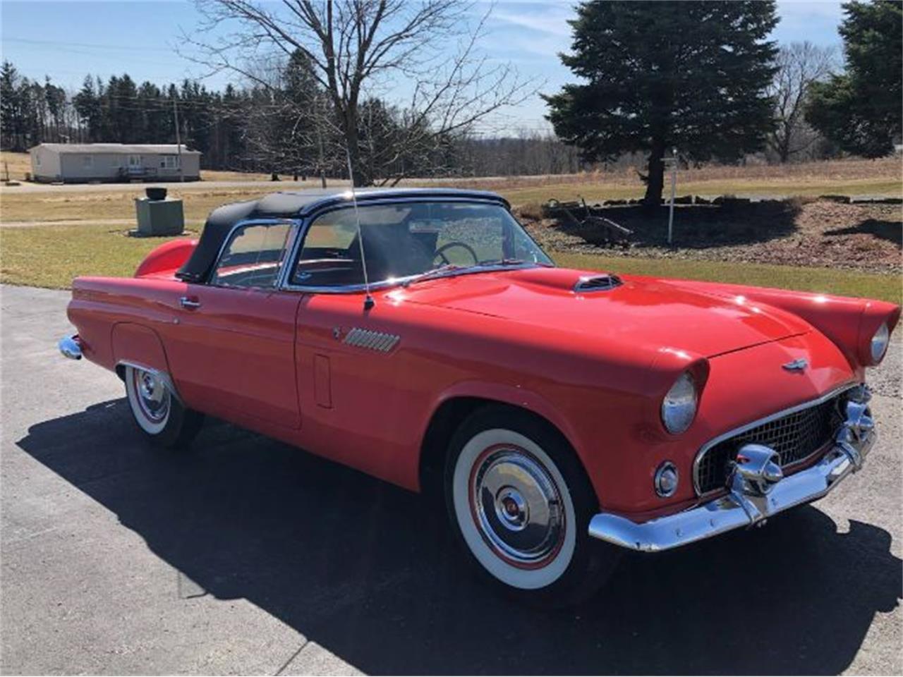 1956 ford thunderbird