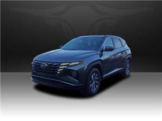 2024 Hyundai Tucson blue
