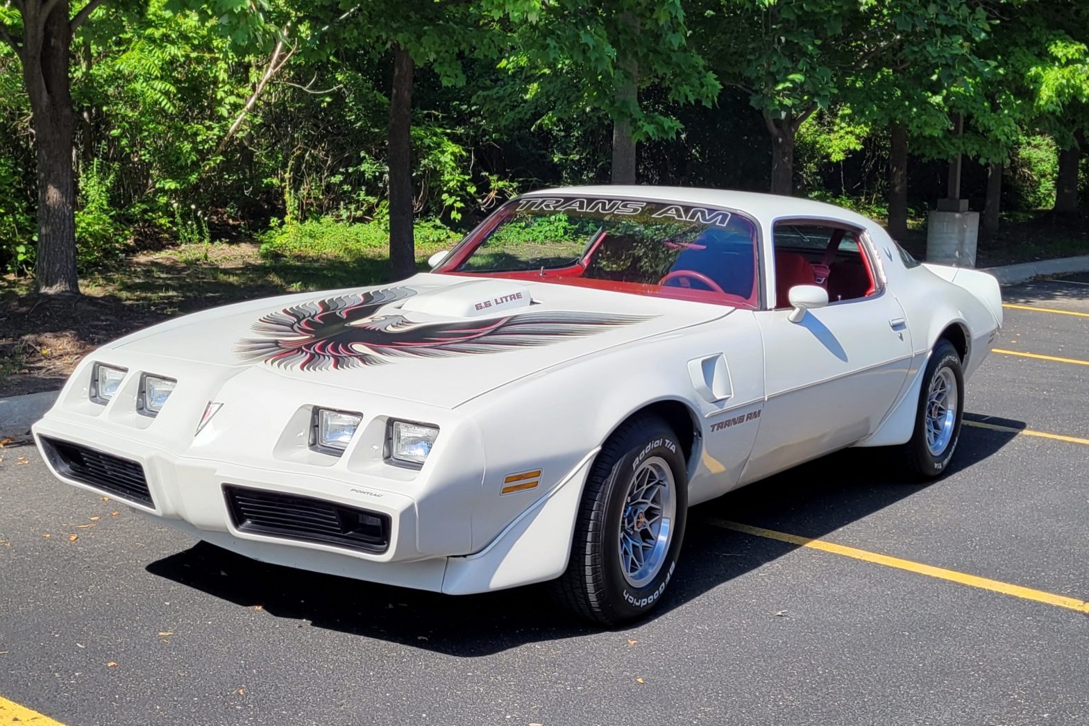 1979 pontiac firebird trans am