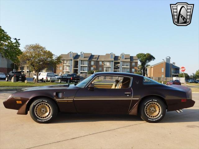 1981 pontiac firebird