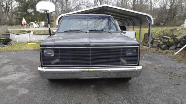1981 chevy truck