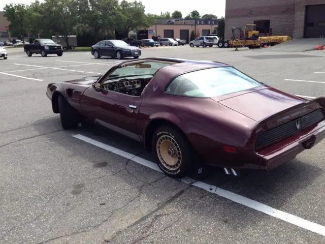 1981 pontiac turbo trans am !! frame off fully restored!! great car!!