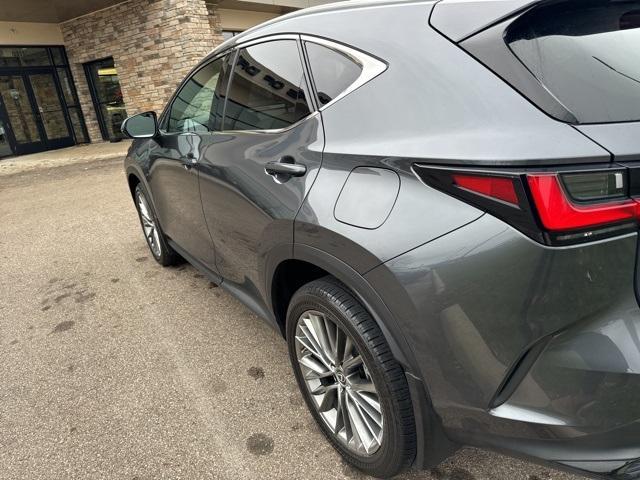 2022 lexus nx 350 premium