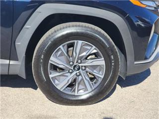 2022 Hyundai Tucson blue