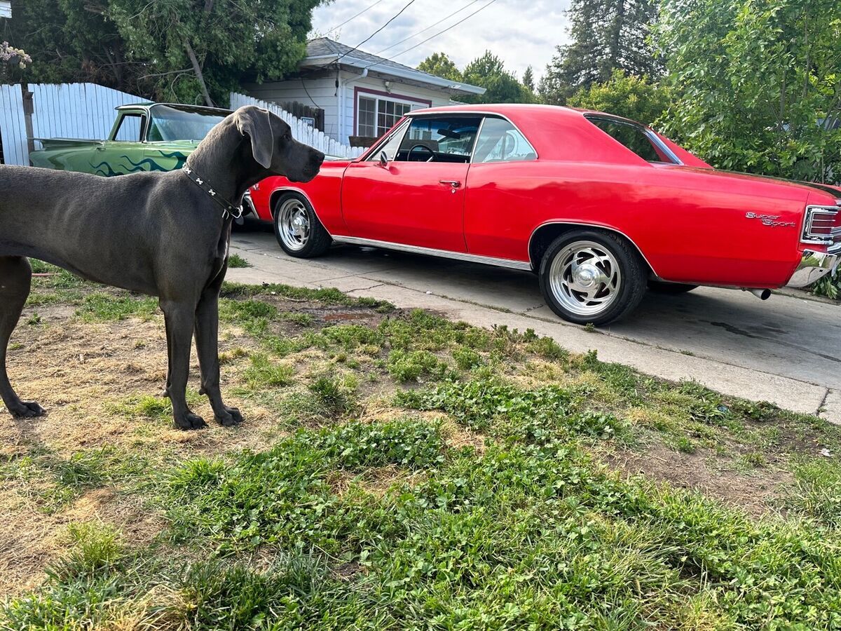 1967 chevrolet chevelle red rwd automatic ss 396