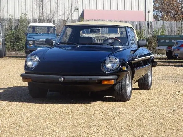 1977 alfa romeo veloce 2000 spider