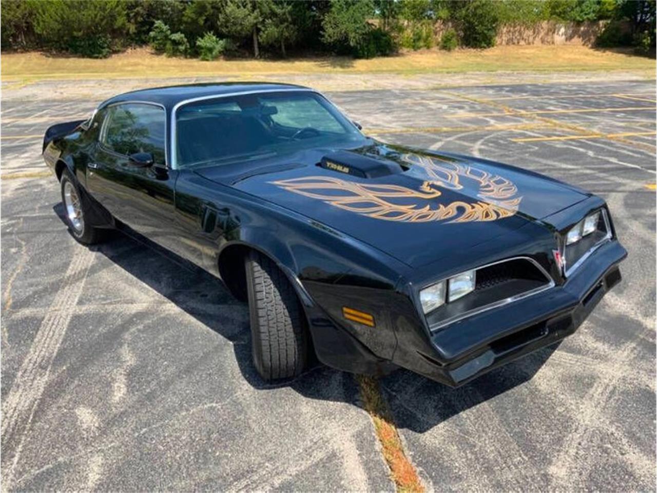 1978 pontiac firebird