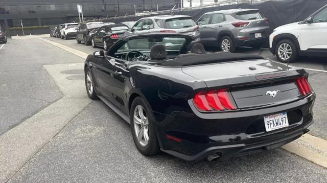 2023 ford mustang ecoboost