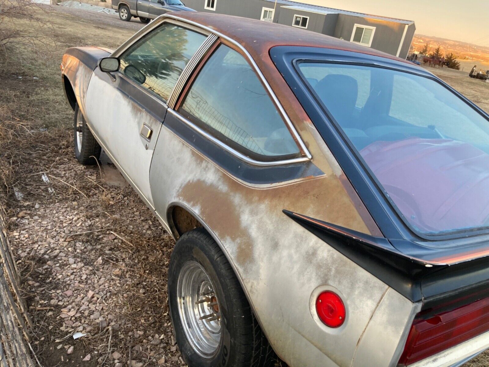 1981 amc amx