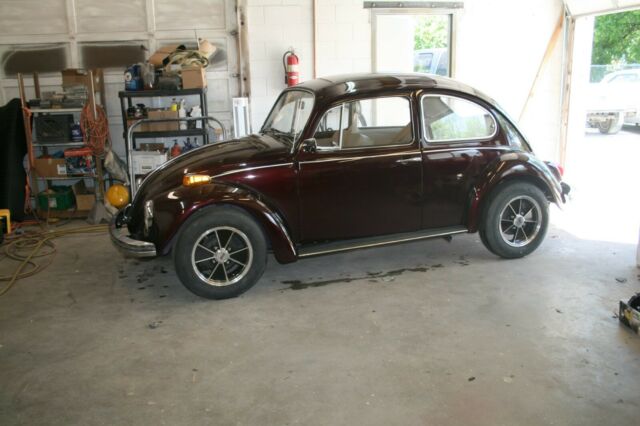 vw bug 1970 restored