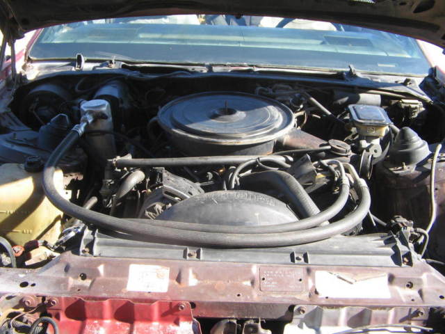 1983 firebird v8 convertible 90k miles runs clear title