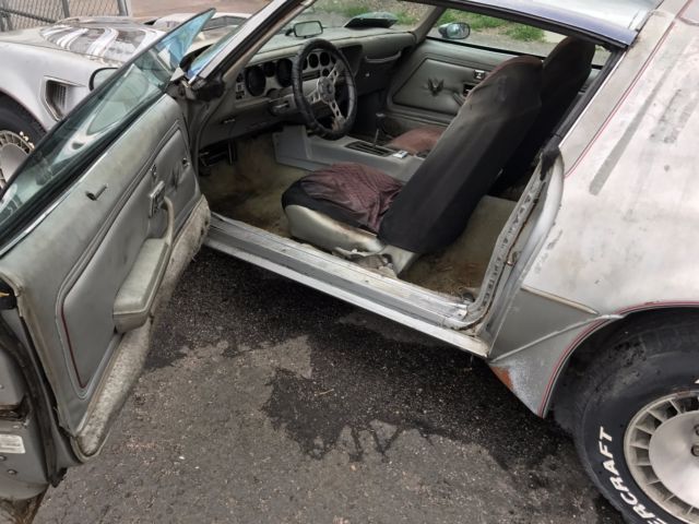 1979 pontiac trans am - anniversary edition - survivor