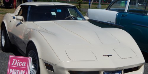 1981 chevrolet corvette for sale in new york by owner