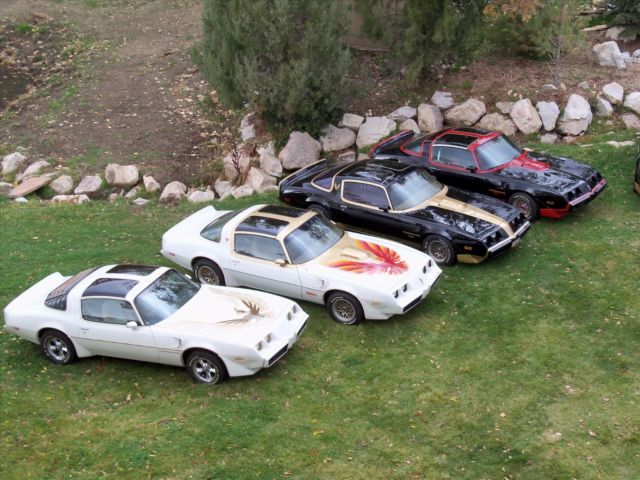 1979 trans am macho t/a dkm #92 of 98 low miles 39k, 1 previous owner, t-tops