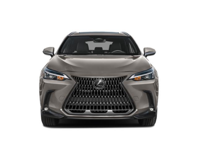2023 lexus nx 250 premium
