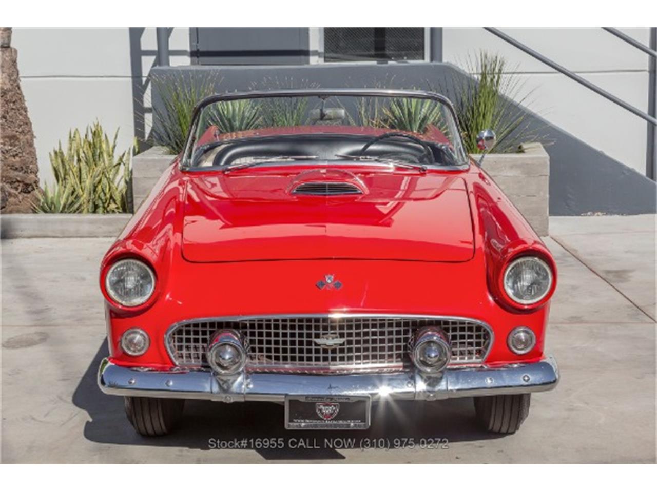 1955 ford thunderbird