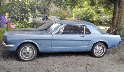 1965 ford mustang for sale in florida by owner