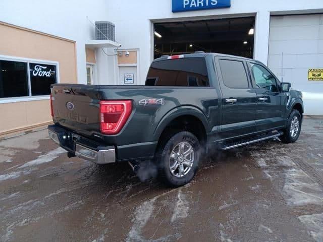 2021 ford f-150 xlt in wolf point, montana
