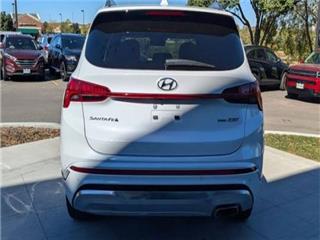 2022 Hyundai Santa Fe calligraphy