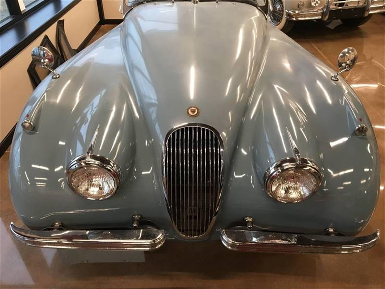 1953 jaguar xk