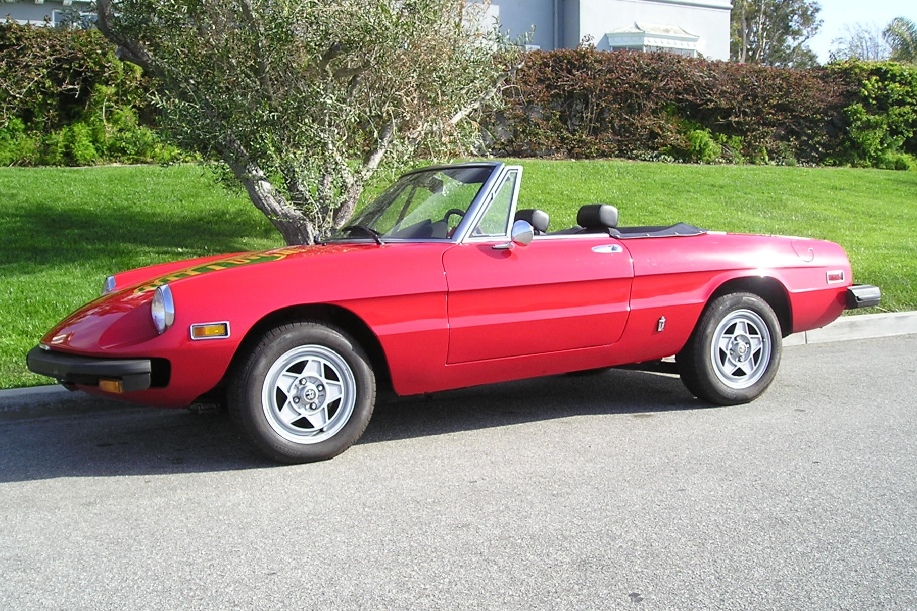 1976 alfa romeo spider