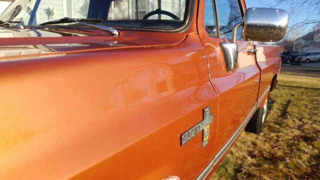 all original 1981 chevy c20